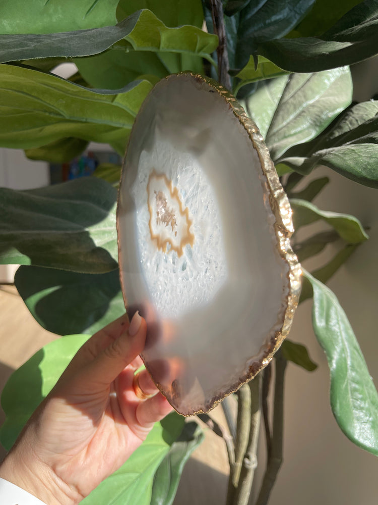
                  
                    Agate thin platters gold trim
                  
                